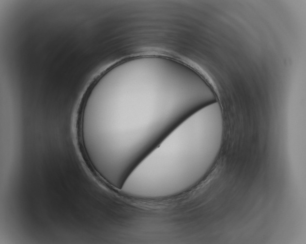 X0000102400995200808010951