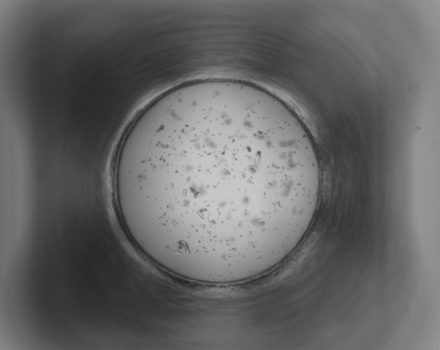 X0000102400998200808010951