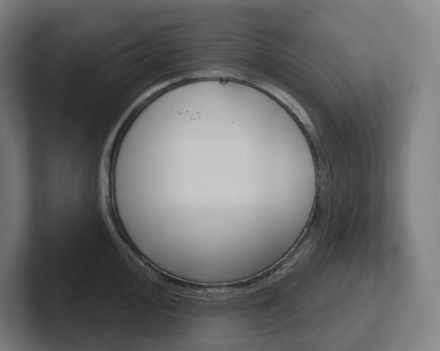 X0000102401000200808010951