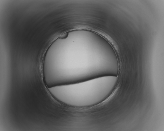X0000102401001200808010951