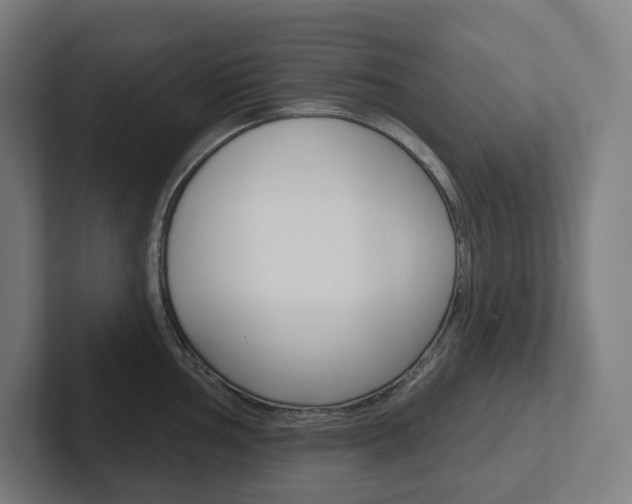 X0000102401002200808010951