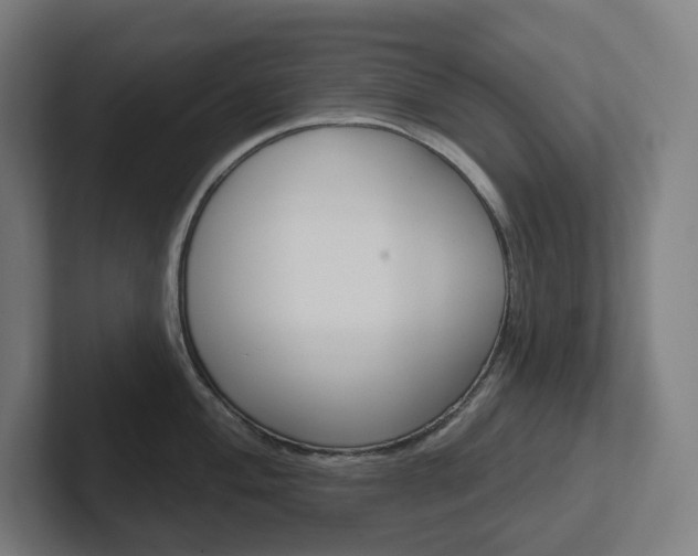 X0000102401004200808010951