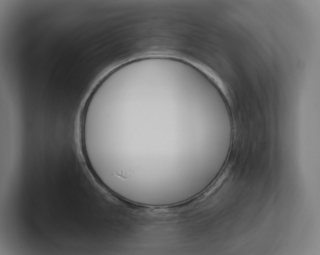X0000102401006200808010951