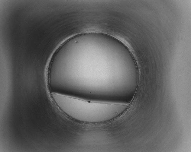 X0000102401008200808010951