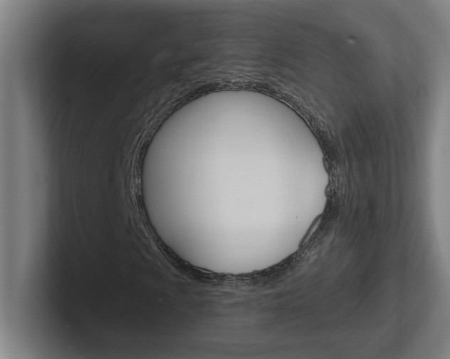 X0000102401009200808010950