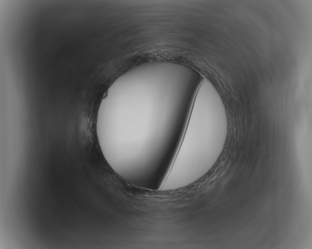 X0000102401010200808010950