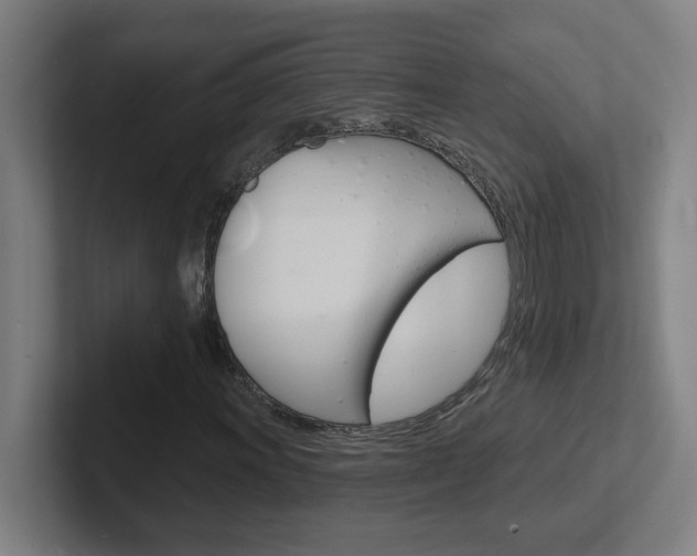 X0000102401011200808010950