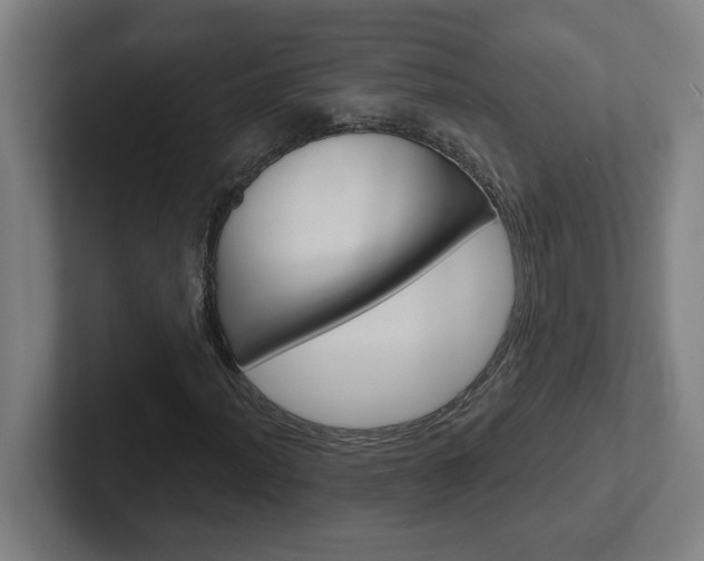 X0000102401012200808010951