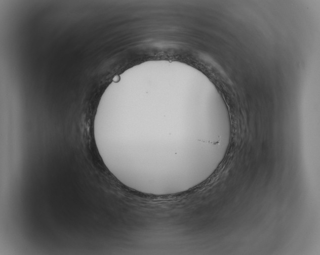 X0000102401013200808010951