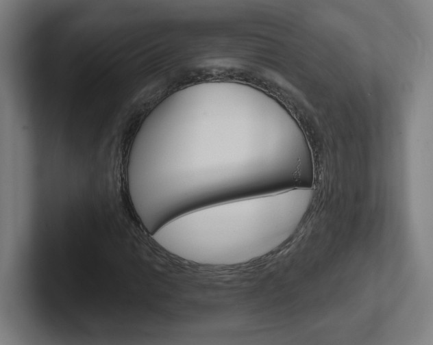 X0000102401014200808010951
