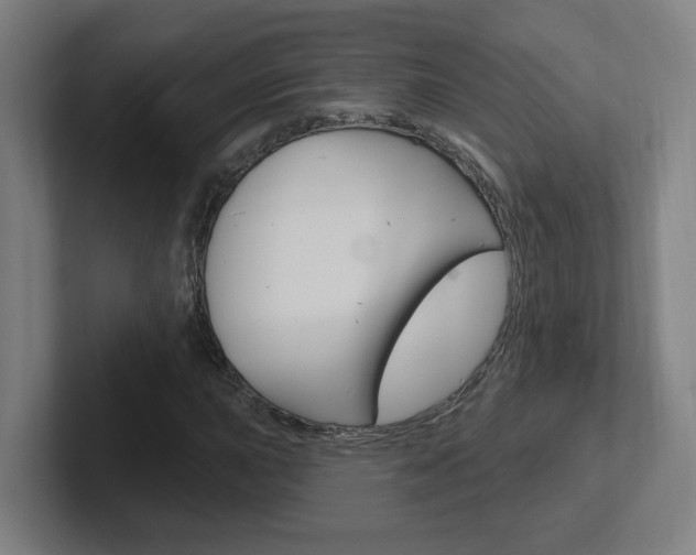 X0000102401015200808010951