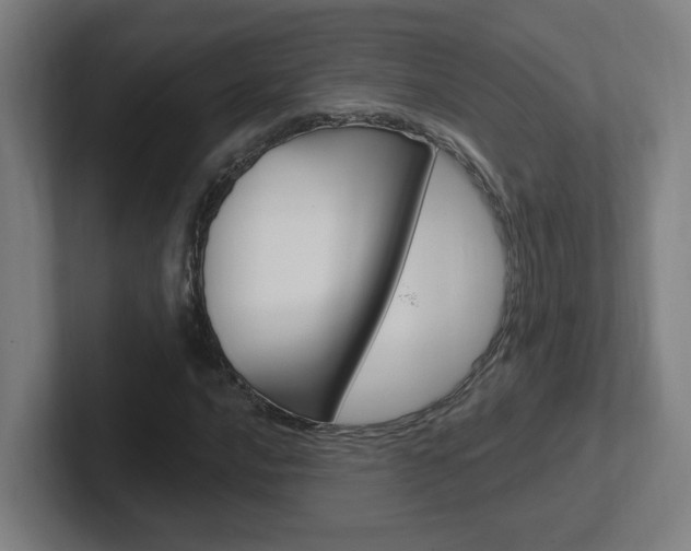 X0000102401016200808010951