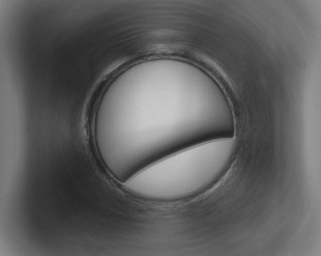X0000102401018200808010951
