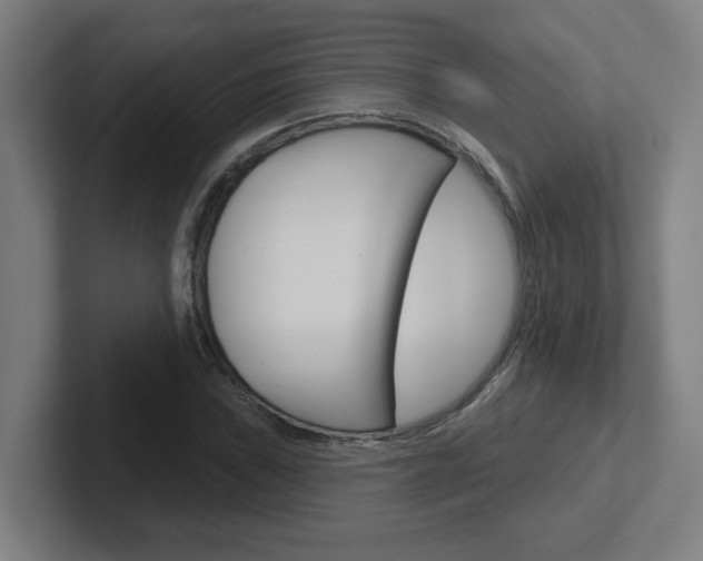 X0000102401019200808010951