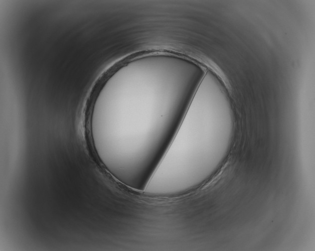 X0000102401020200808010951