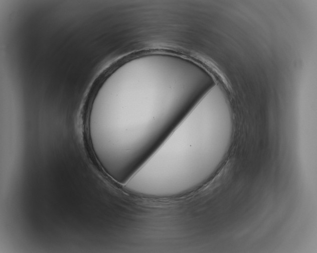 X0000102401024200808010951