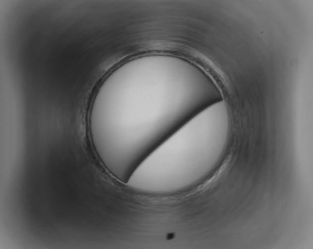 X0000102401025200808010951
