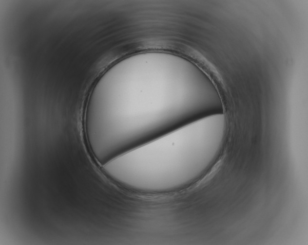 X0000102401033200808010951