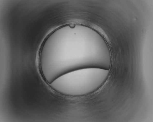 X0000102401040200808010951