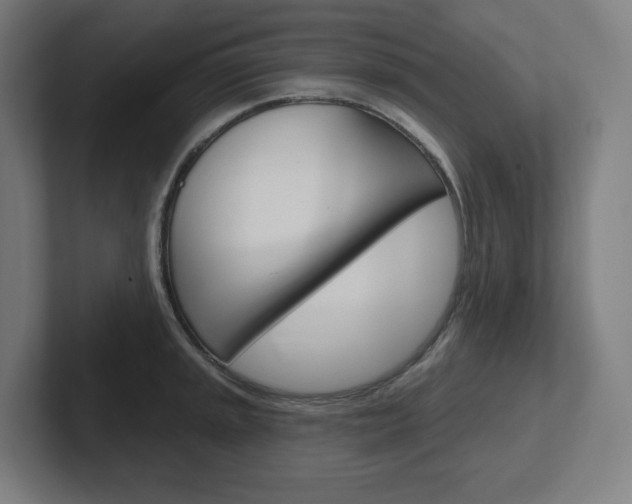 X0000102401045200808010951