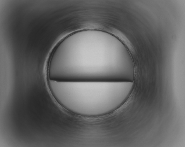 X0000102401046200808010951