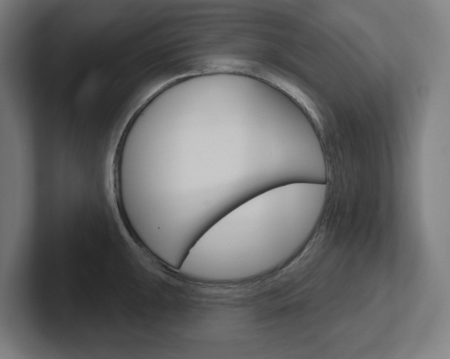 X0000102401047200808010951