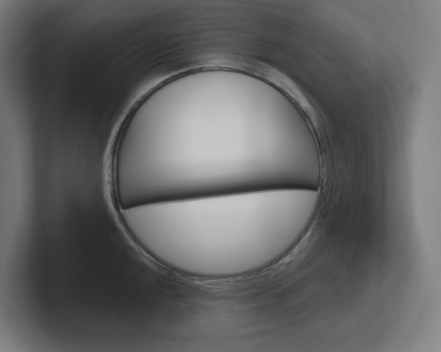 X0000102401048200808010951