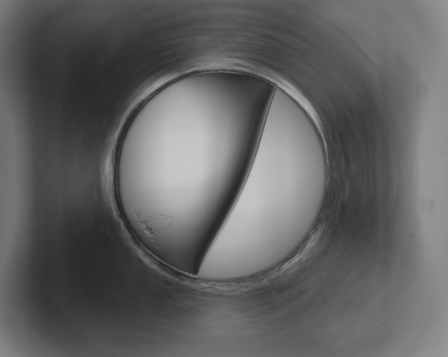X0000102401053200808010951