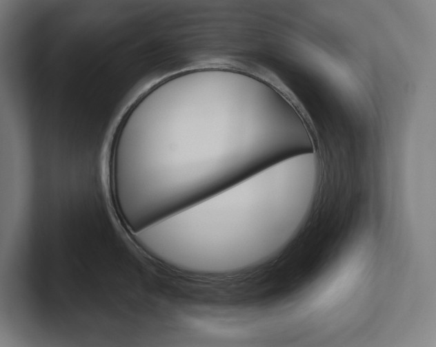 X0000102401054200808010951