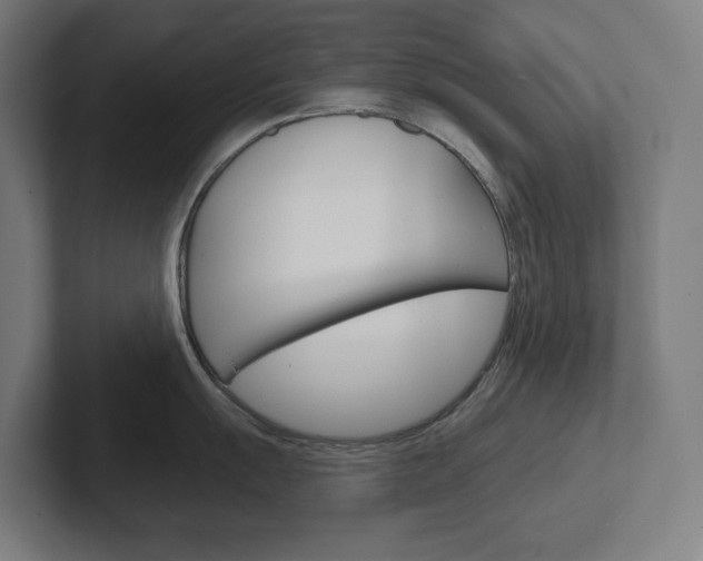 X0000102401055200808010951