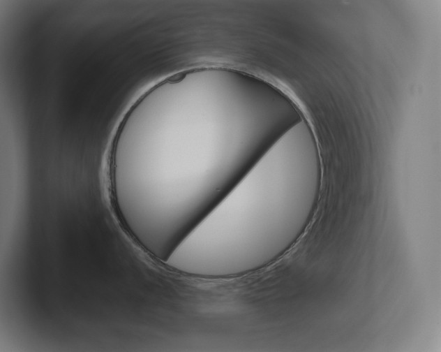 X0000102401056200808010951
