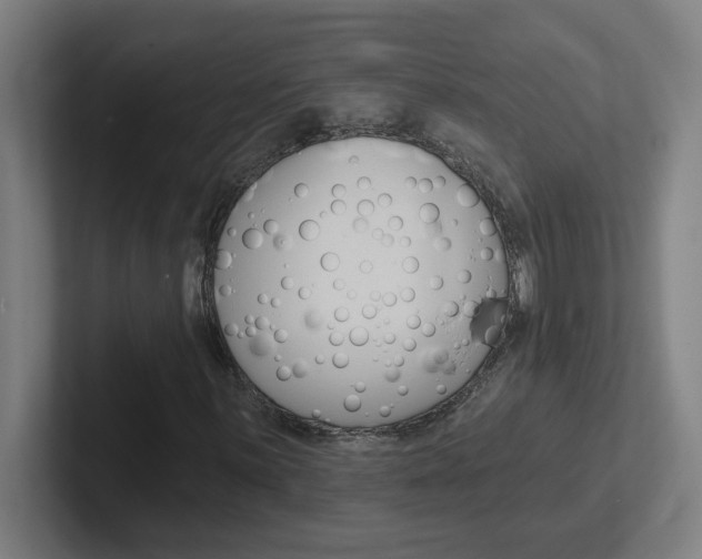 X0000102401059200808010950