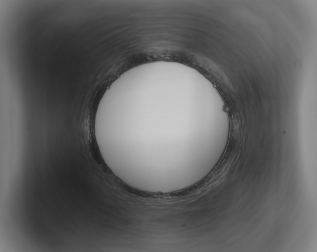 X0000102401060200808010950