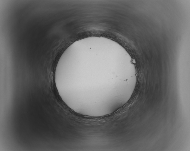 X0000102401061200808010950