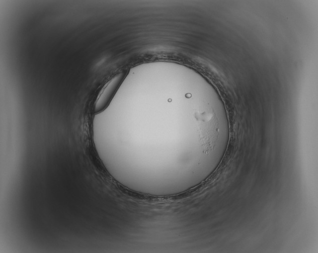 X0000102401062200808010950
