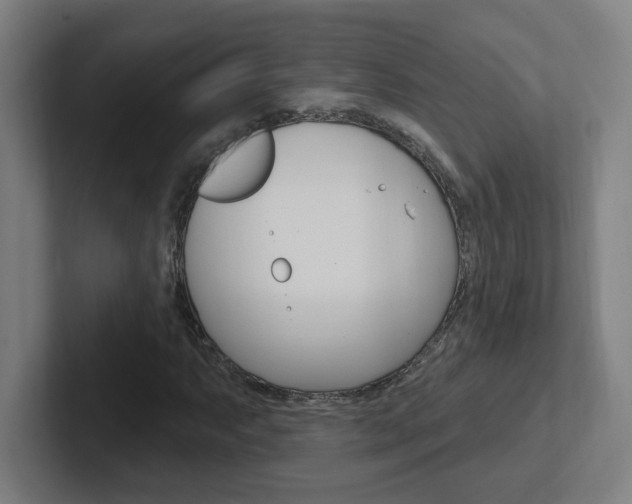 X0000102401063200808010950
