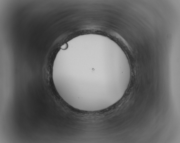 X0000102401064200808010950