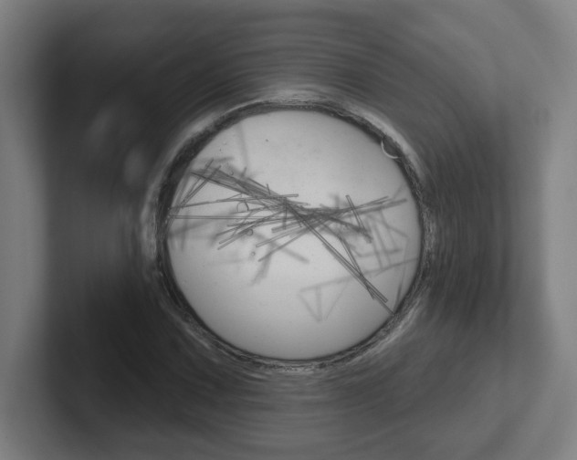 X0000102401067200808010950