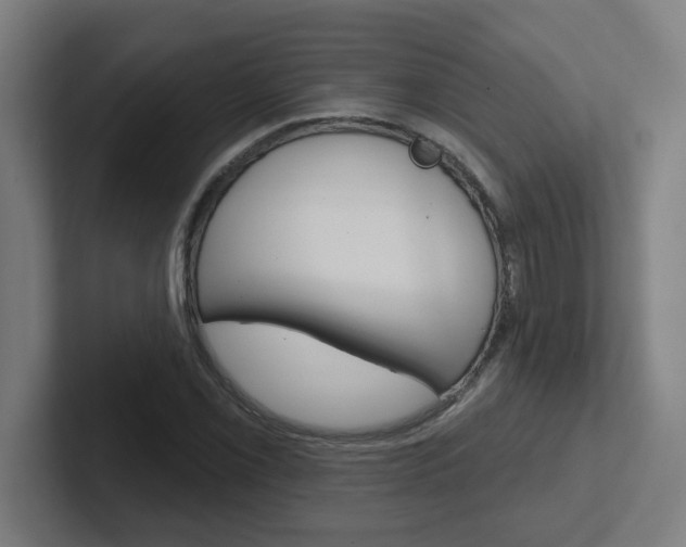 X0000102401069200808010950