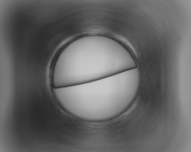 X0000102401071200808010950