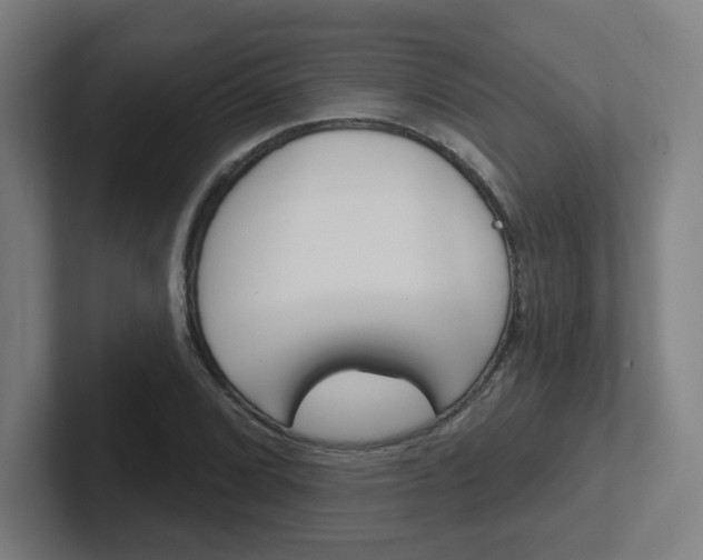 X0000102401072200808010950