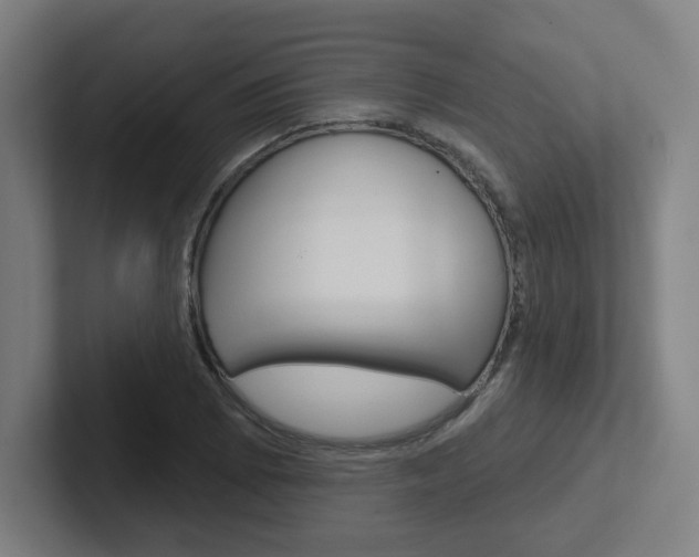 X0000102401073200808010950