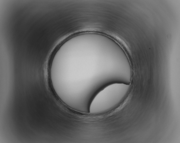 X0000102401077200808010950
