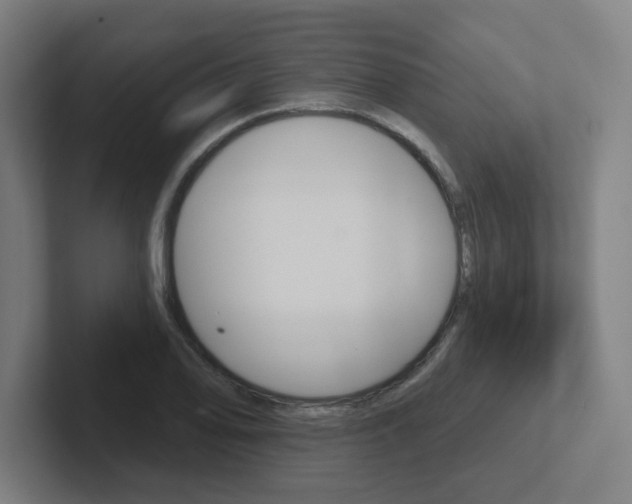 X0000102401078200808010950