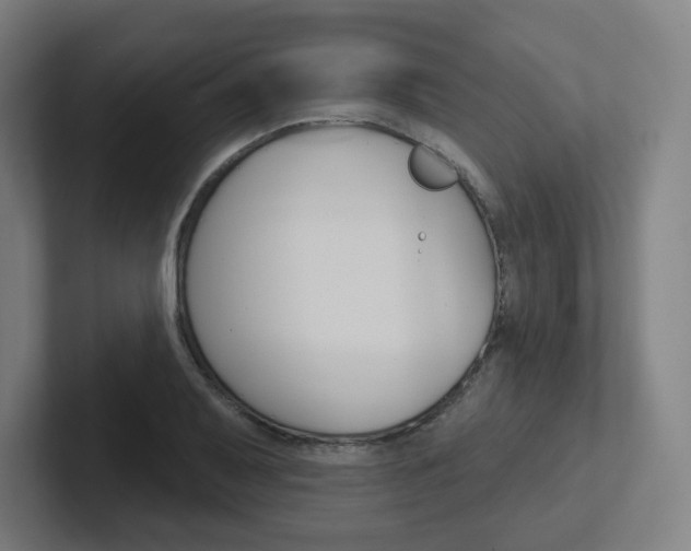 X0000102401079200808010950