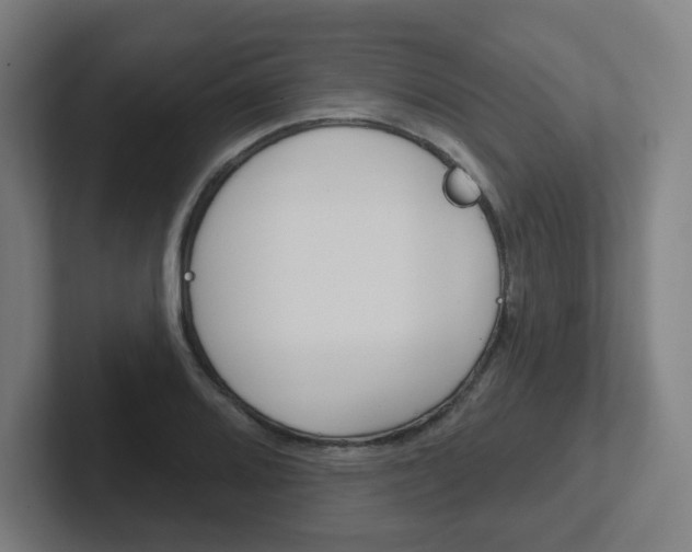 X0000102401080200808010950