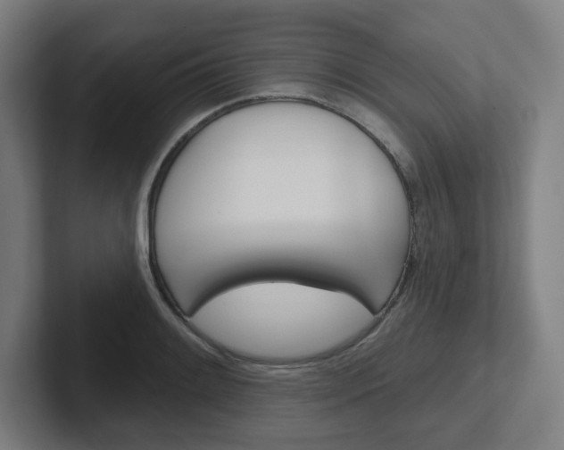 X0000102401084200808010950