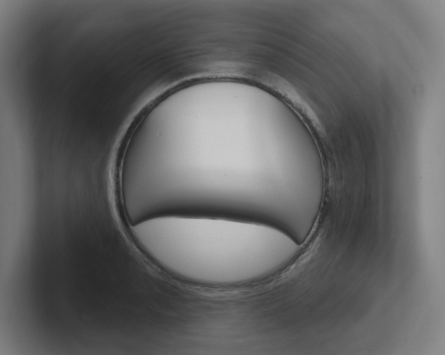 X0000102401085200808010950