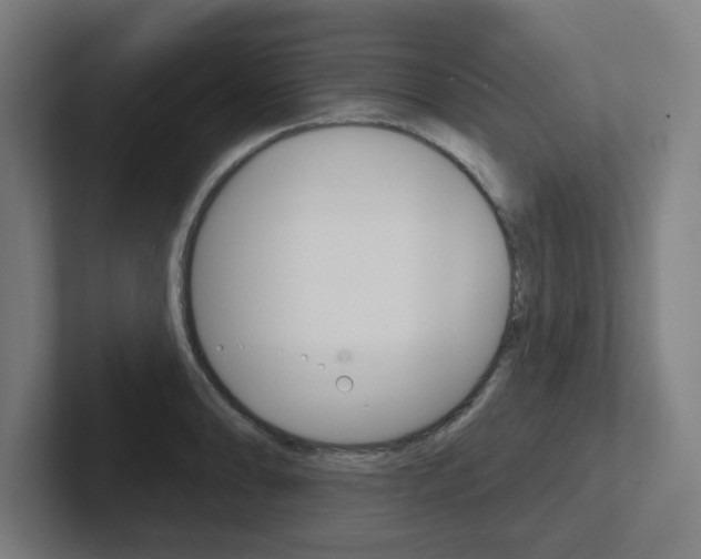 X0000102401086200808010950