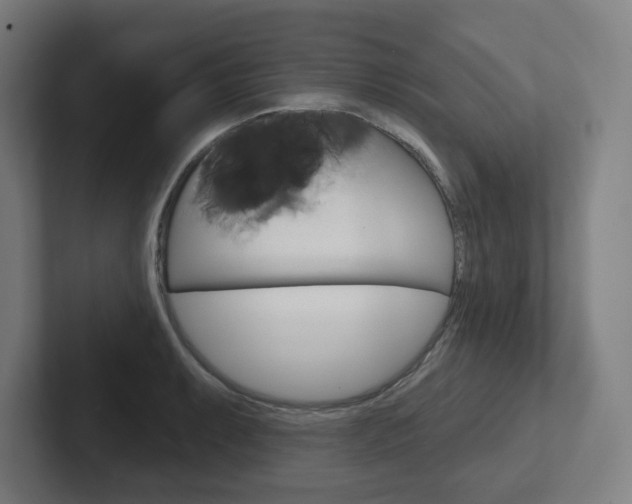 X0000102401087200808010950